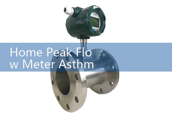 Home Peak Flow Meter Asthma Safety Logs: Proactive Pediatric Respiratory Tracking Templates