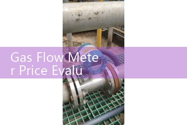 Gas Flow Meter Price Evaluation: Sourcing Cost-Effective Industrial Sensors vs Premium Custody Meters