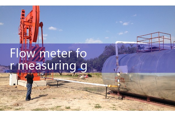 Flow meter for measuring gas flow rate
