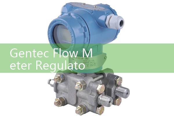 Gentec Flow Meter Regulators: Calibrating Thorpe Tube Gas Regulators for Precise Medical Deliveries
