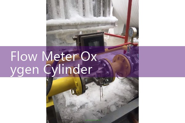Flow Meter Oxygen Cylinder: General Safety Standards for Gas Flow Regulation