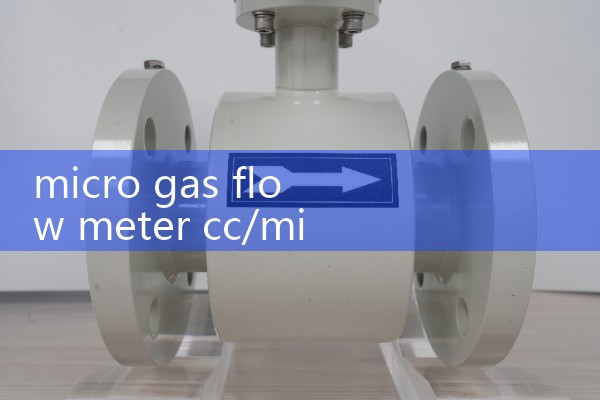 micro gas flow meter cc/min