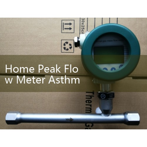 Home Peak Flow Meter Asthma Safety Logs: Proactive Pediatric Respiratory Tracking Templates